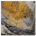 gold-digging-in-the-mountains